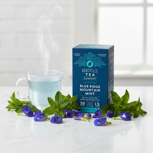 A box of Asheville Tea Company Blue Ridge Mountain Mint herbal tea, shown at a three-quarter angle on a light gray background.