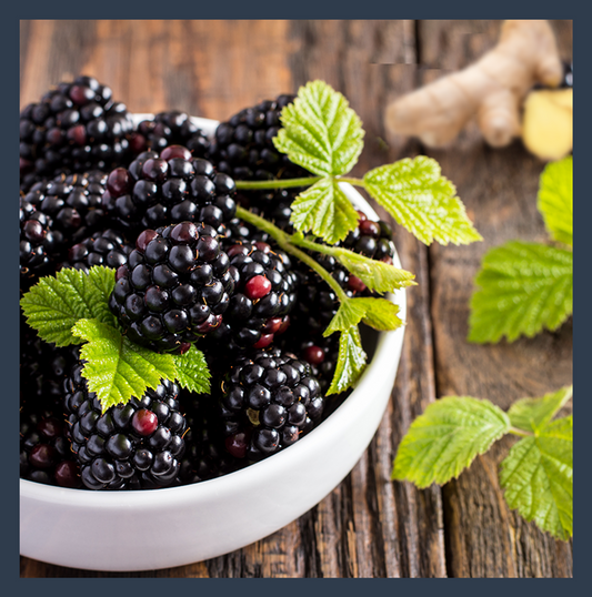 Blackberry-Ginger Aged Balsamic Vinegar