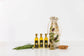 Olive Oil Tasting Kit