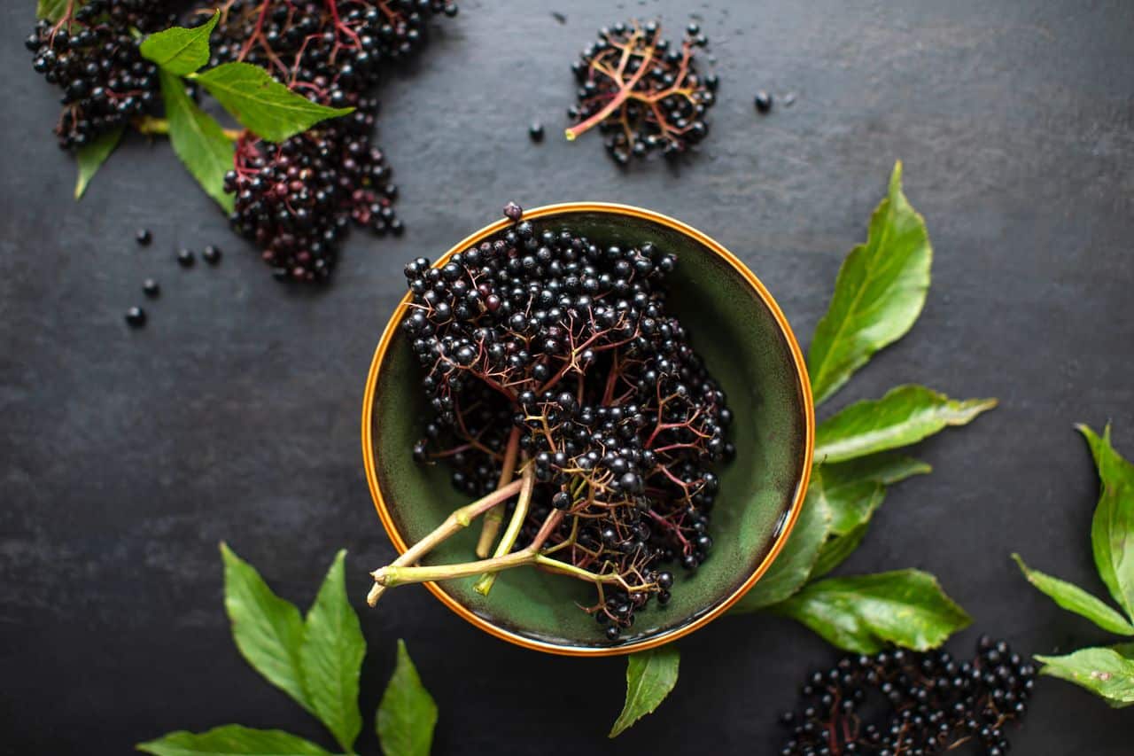 Elderberry Aged Balsamic Vinegar*