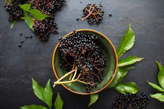 Elderberry Aged  Balsamic Vinegar*