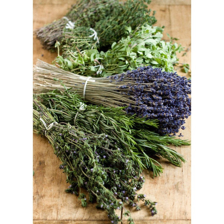 Herbes de Provence Olive Oil