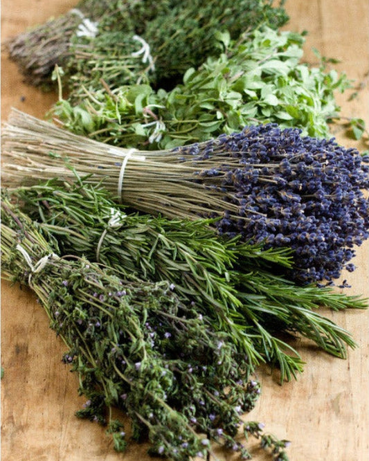 Herbes de Provence Infused Olive Oil