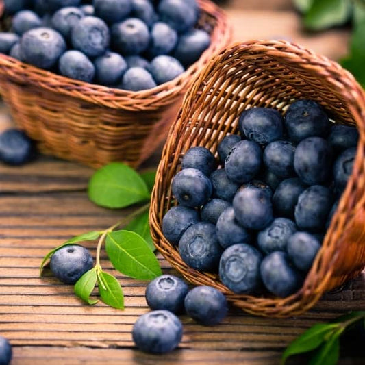 Bright Blueberry Aged Balsamic Vinegar