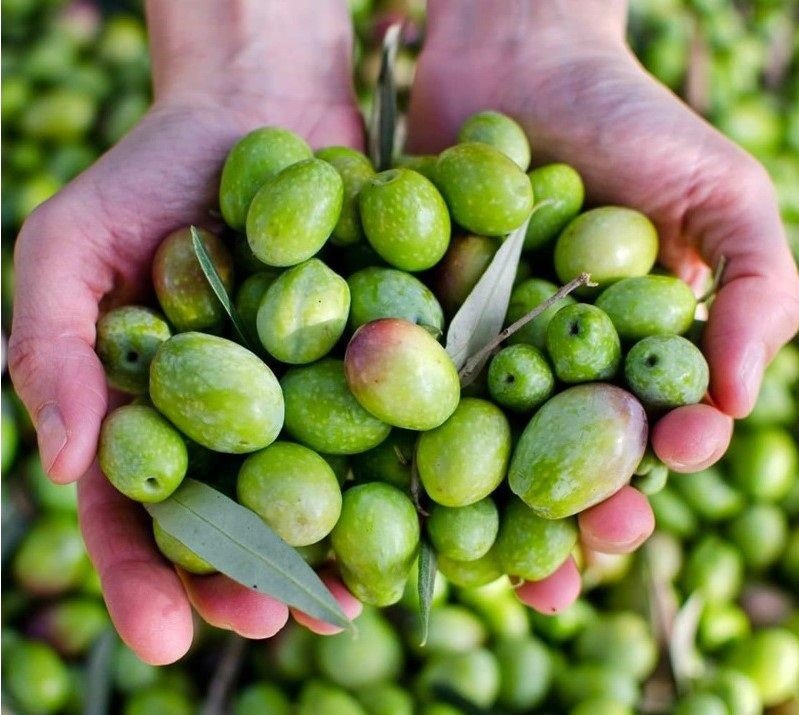 Best Sellers and Customer Favorites