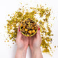 Dark Chocolate Pistachio Popcorn