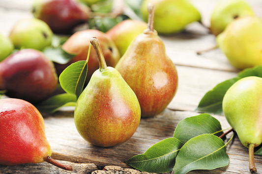 Golden Pear White Balsamic Vinegar