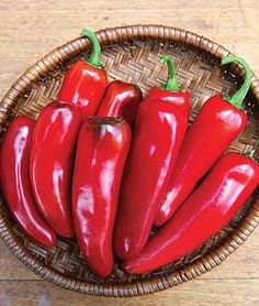 Smoky Chipotle Infused Olive Oil