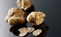 White Truffle Specialty Olive Oil